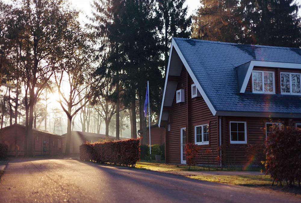 House in the forest